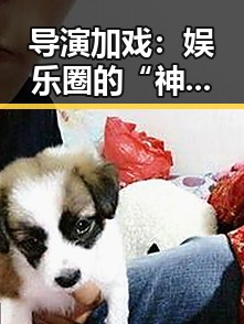 导演加戏：娱乐圈的“神来之笔”还是“灾难”反转？